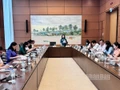Quang cảnh phiên thảo luận tại Tổ 13 của Quốc hội, chiều 16/6/2025. (Ảnh: TRUNG HƯNG)